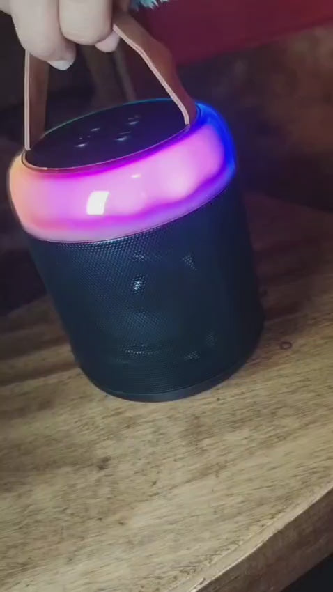 Parlante Kareoke Con Micrófono